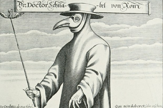 Rayas de la cebra.jpg