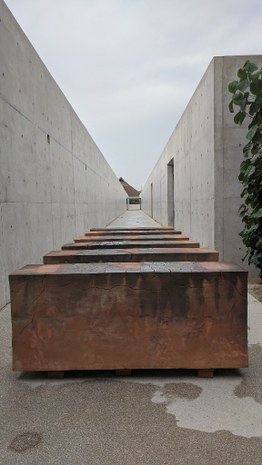 Imagen 2.jpg
