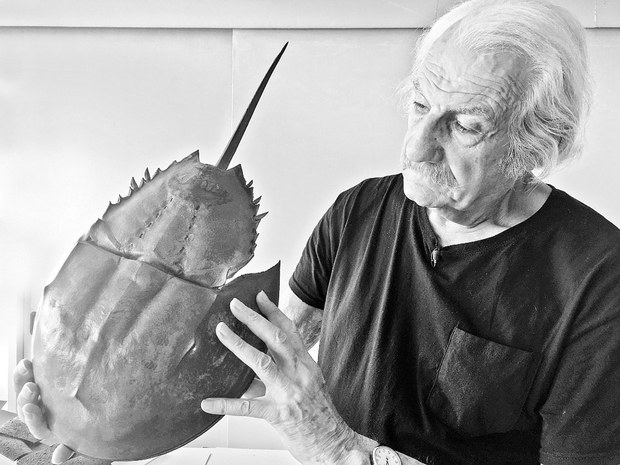 1. BRIAN NISSEN Y EL LÍMULUS.jpg
