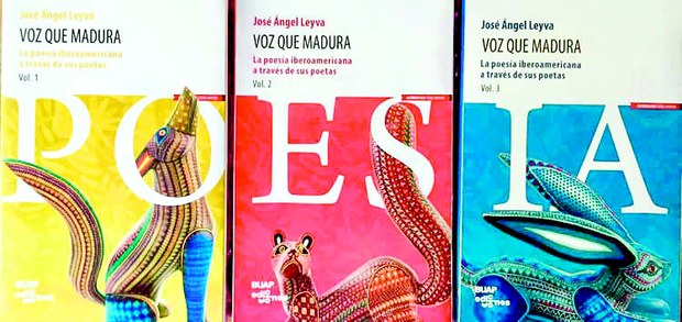 Voz-que-madura.jpg