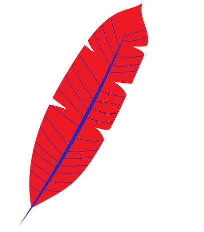 pluma1.jpg