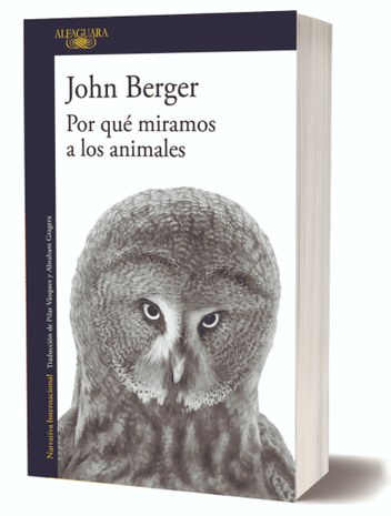 por que.jpg