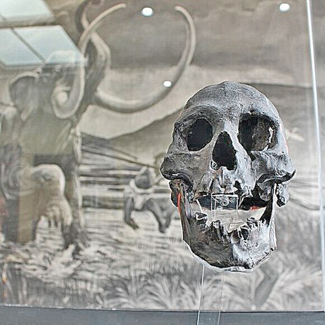 mamut2.jpg