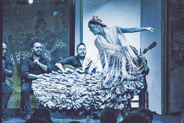 Espectáculo_flamenco_en_Tablao_Flamenco_El_Arenal.jpg