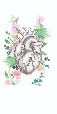 corazon-humano-venas-arterias-vector-ilustracion-vendimia-estilo_766625-6942.jpg