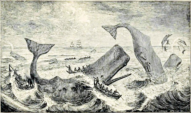 nypl.digitalcollections.4a6058e0-9d36-0133-6935-00505686a51c.001.g.jpg