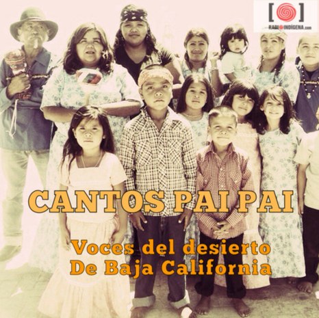 paipai.jpg