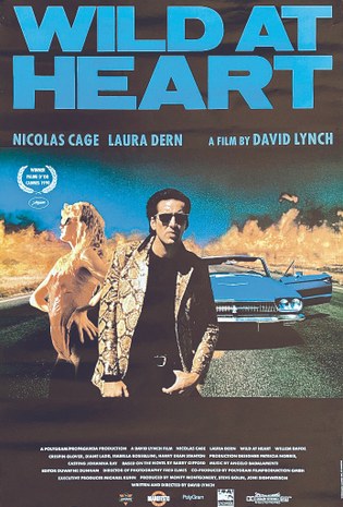 wild-at-heart-is-one-intense-movie-v0-c5gojrfb79db1.jpg