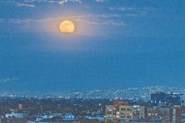 luna2.jpg