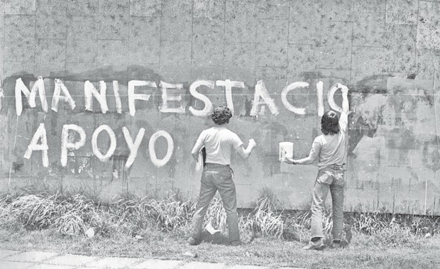 halconazo.jpg