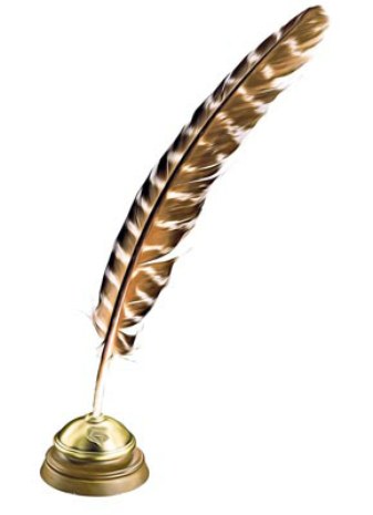 pluma_.jpg