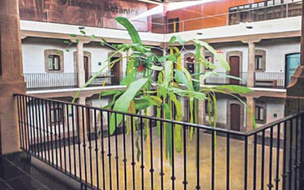 Thomas Glassford. Liminalidades epi╠üfitas..jpg