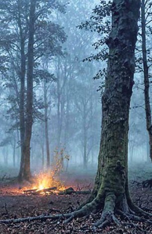 Joan Fontcuberta. Cortesi╠üa de Galaxia Gutenberg. 1.jpg