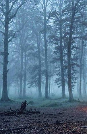 Joan Fontcuberta. Cortesi╠üa de Galaxia Gutenberg. 2.jpg